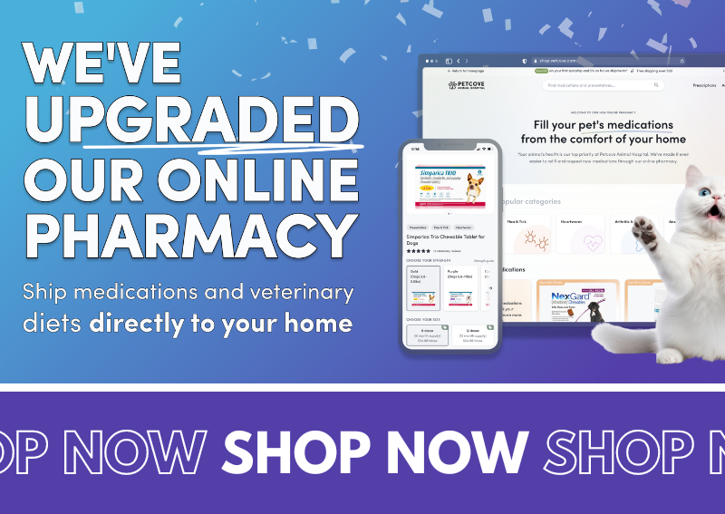 Carousel Slide 1: Online Store & Pharmacy